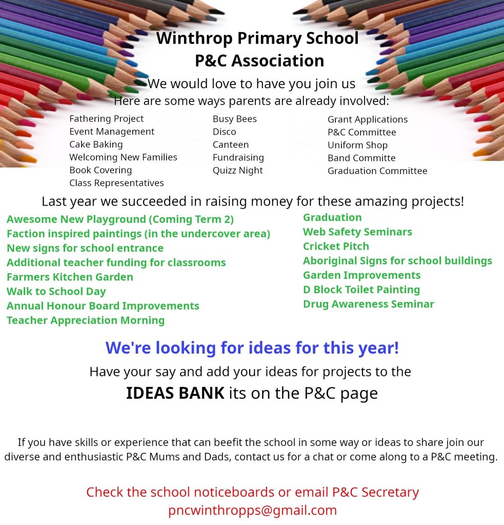 winthrop primary school business plan